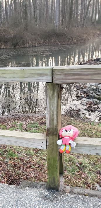 A pink doll left perched for its owner to find.